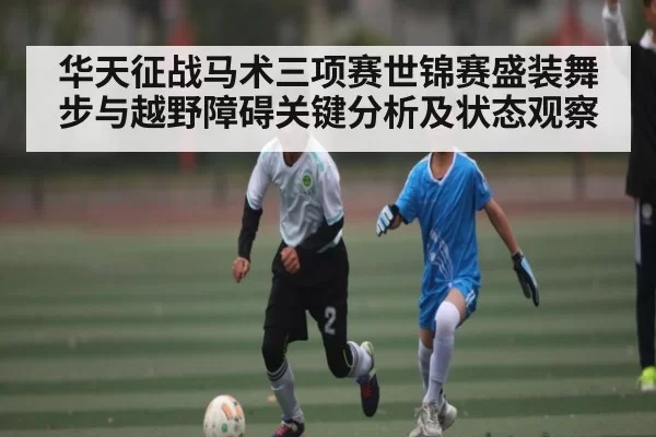 华天征战马术三项赛世锦赛盛装舞步与越野障碍关键分析及状态观察
